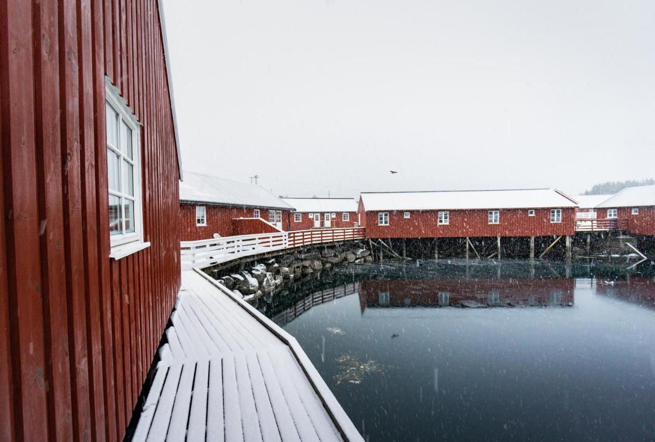 סטמסונד Lofoten Cabin And Kayak Rental מראה חיצוני תמונה