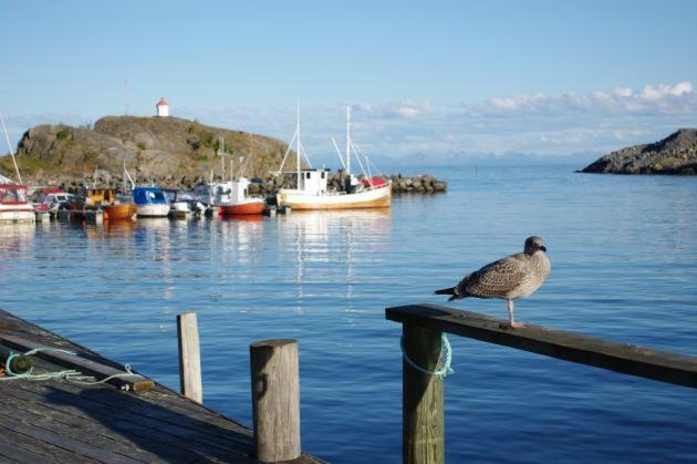 סטמסונד Lofoten Cabin And Kayak Rental מראה חיצוני תמונה